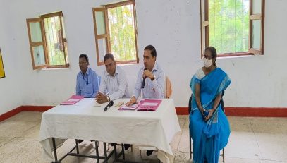 वार्षिक पैनल निरीक्षण