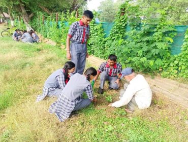 plantation