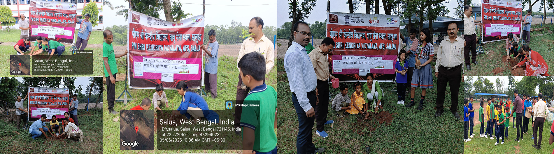 world environment day