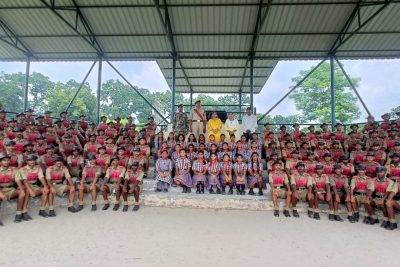 Kv bsf