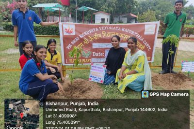 PLANTATION DRIVE BY TEACHERS