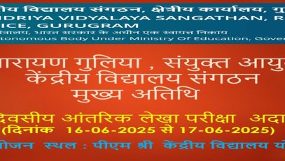 आंतरिक लेखा परीक्षा