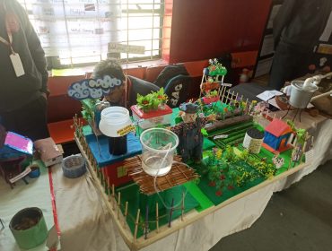 RSBVP 2024 project two
