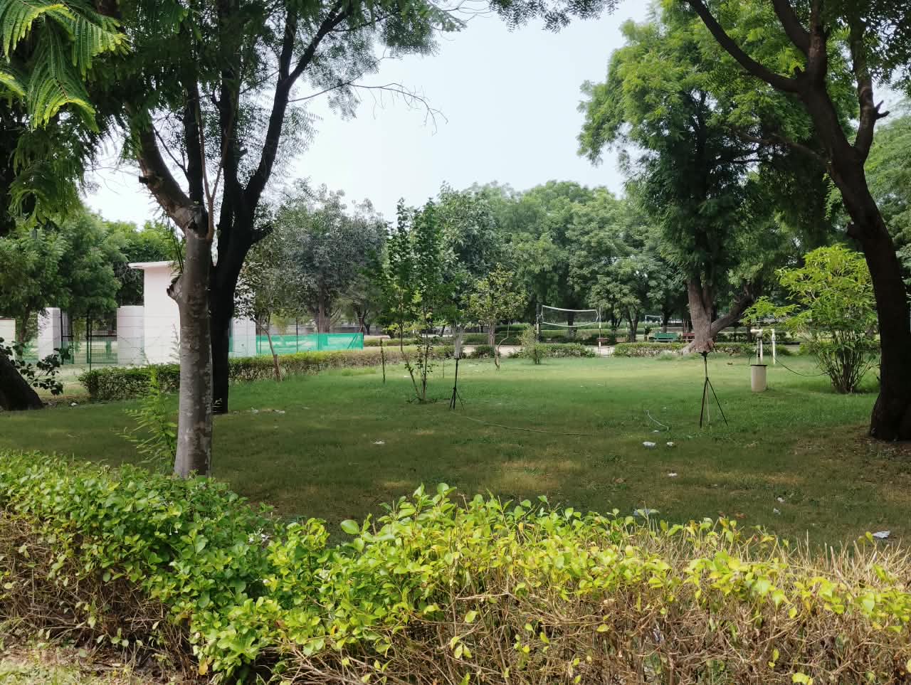 development of park