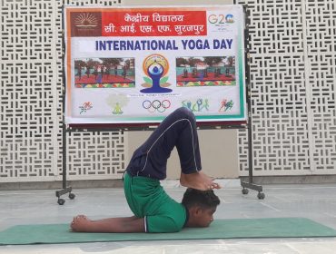 योग दिवस