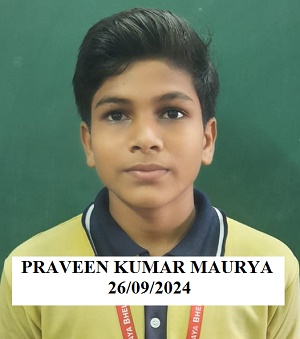  प्रवीण कुमार मौर्या   