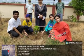 Plantation Drive