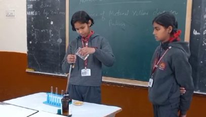 विज्ञान गतिविधि