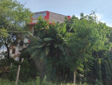 sabalgarh
