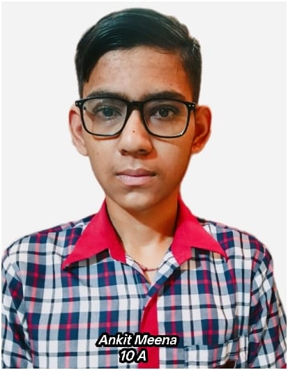 अंकित मीणा
