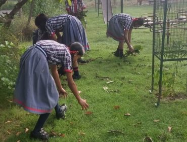 Swachhata Pakhwada