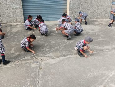 Swachhata Pakhwada