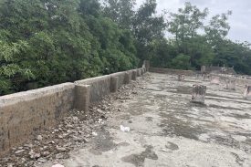 construction (7)