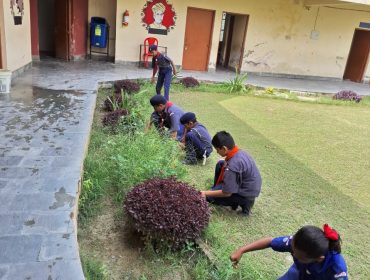 Plantation under Bharat scout & Guide