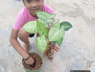विश्व पर्यावरण दिवस 2026