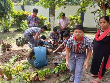 eco club activities