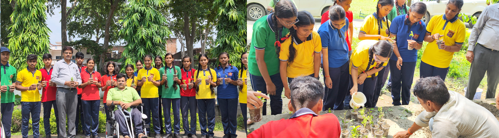 Students learn to grow plants by cuttings