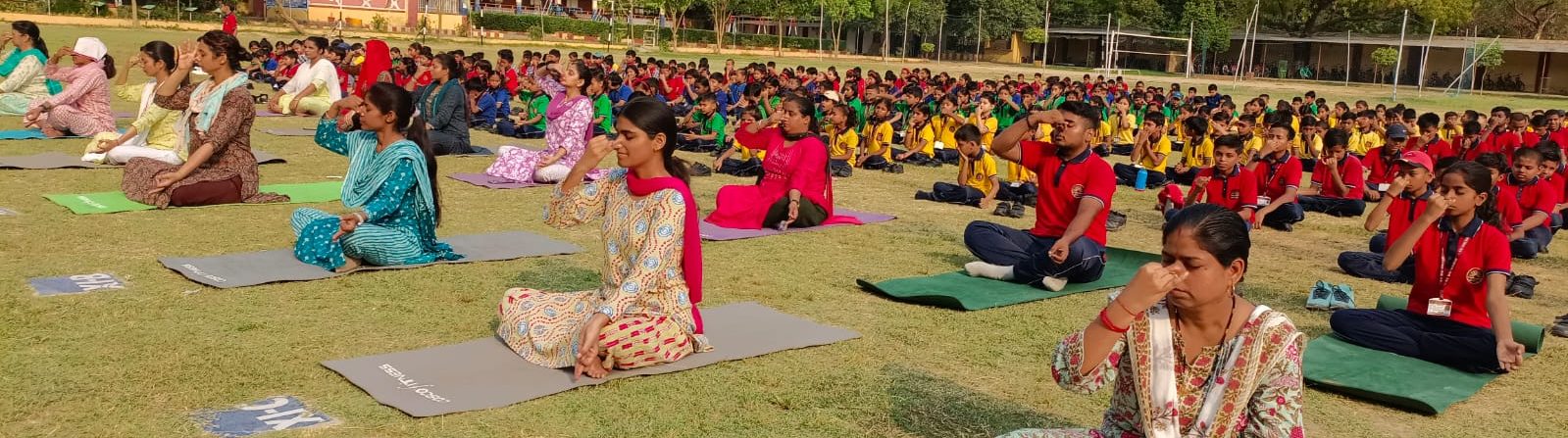 Yoga Day Teachers