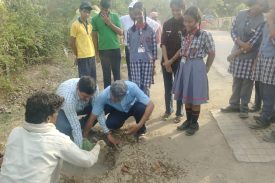 Plantation Drive Teachers