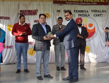 वार्षिक पैनल पर्यवेक्षण
