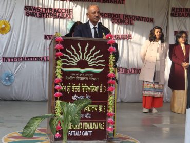 वार्षिक पैनल पर्यवेक्षण