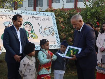 वार्षिक पैनल पर्यवेक्षण