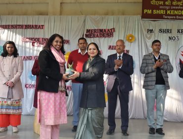 वार्षिक पैनल पर्यवेक्षण