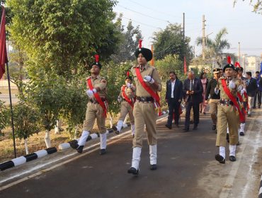 वार्षिक पैनल पर्यवेक्षण
