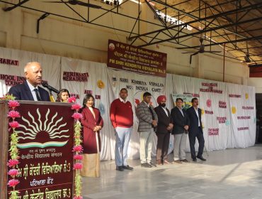 वार्षिक पैनल पर्यवेक्षण