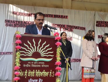 वार्षिक पैनल पर्यवेक्षण