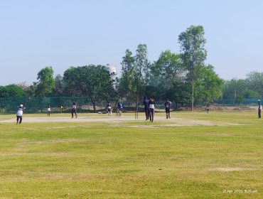 Cricket1