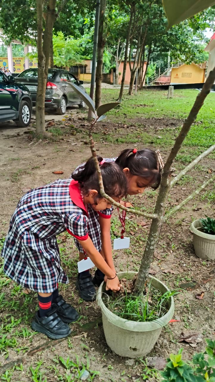 Nature Activity
