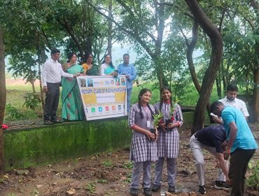 Tree Plantation