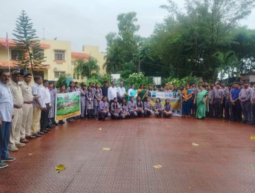 Tree Plantation