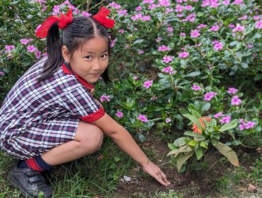 tree planting campaign