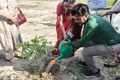 Plantation by Additional Commissioner mam