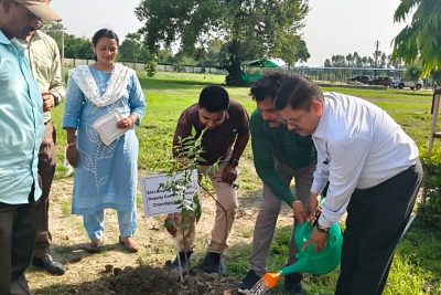 Plantation by Deputy Commissioner sir