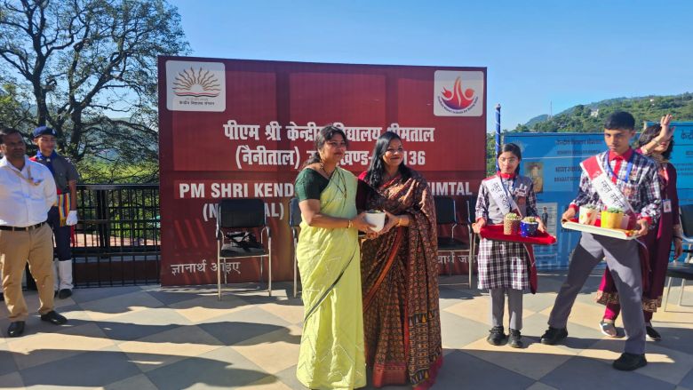 वार्षिक पैनल निरीक्षण