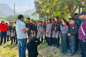 Students Learning about Plants and Trees