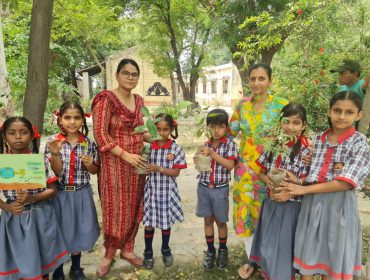 KV KMS WALA ACTIVITIES