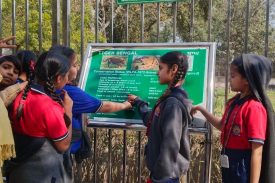 field visit of primary classes at chhatbir ZOO