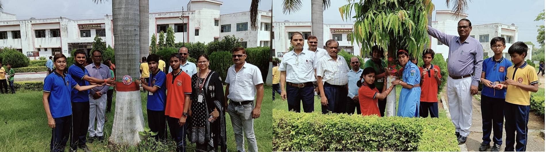 RAKHI CELEBRATION WITH SAVE TREE