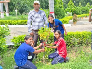 Plantation