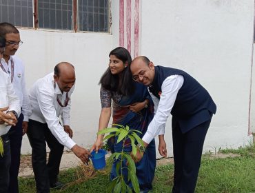 Plantation