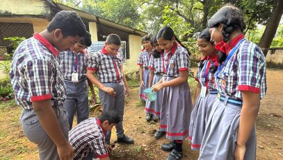 Tree Plantation