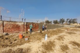 BOUNDARY WALL MAINTENANCE