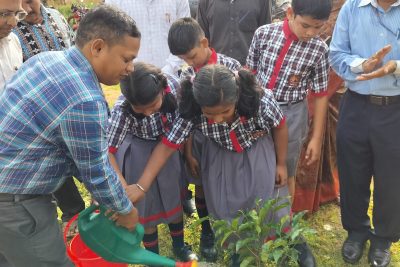plantation on first day