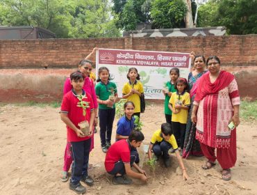 plantation activity