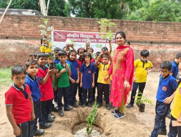 tree plantation